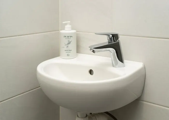 Stylish Smart Studio! Reval